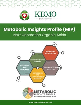Cover of the KBMO Metabolic Insights Profile brochure